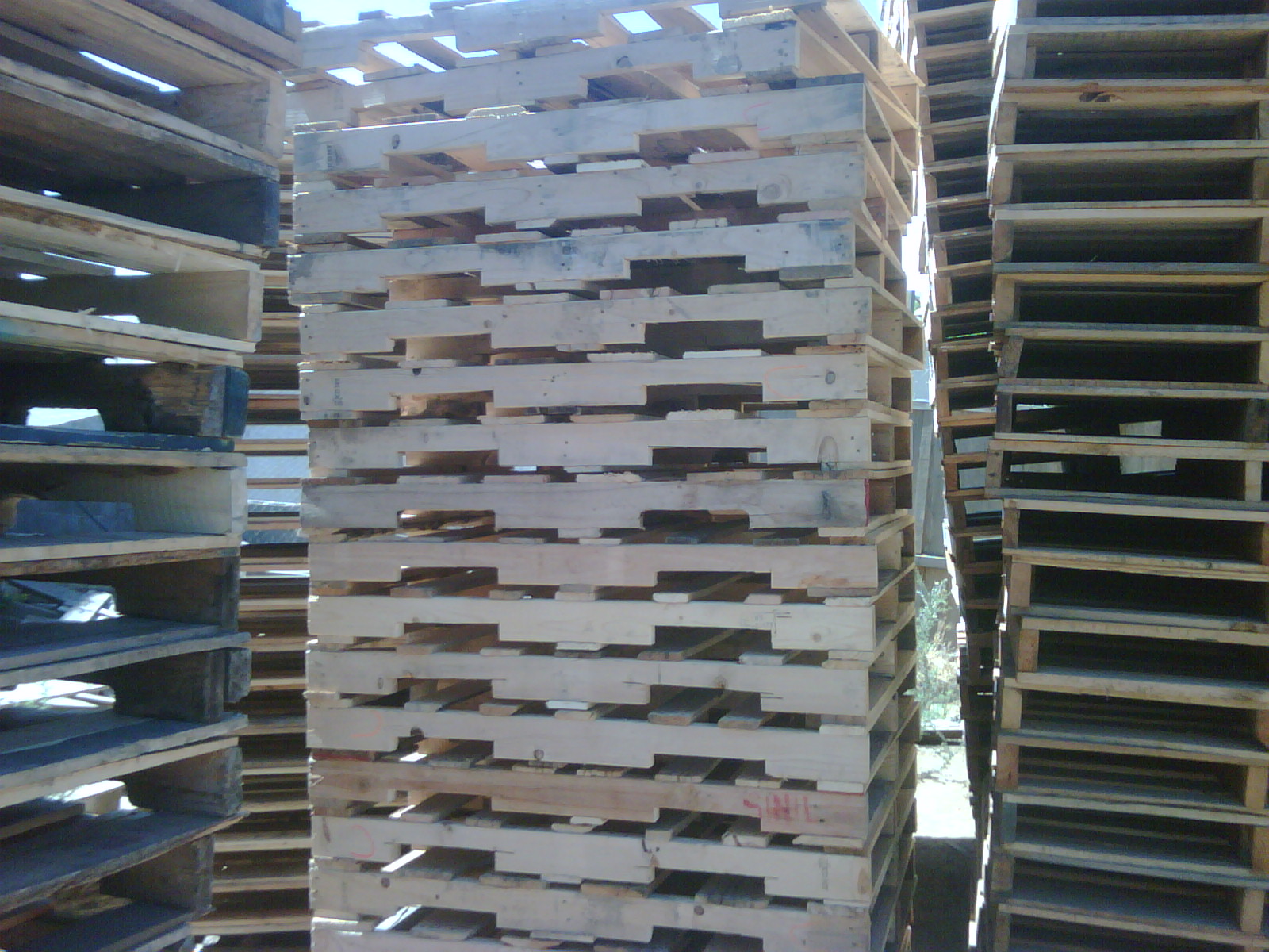Tarimas Economías De Baja California (Pallets de madera) Tijuana
