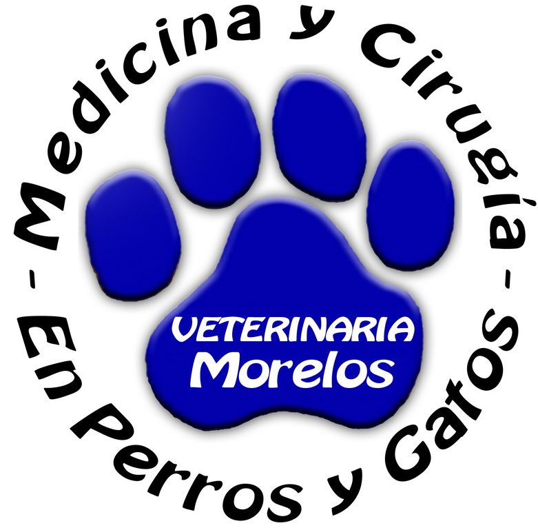 Veterinaria “Morelos” Morelia