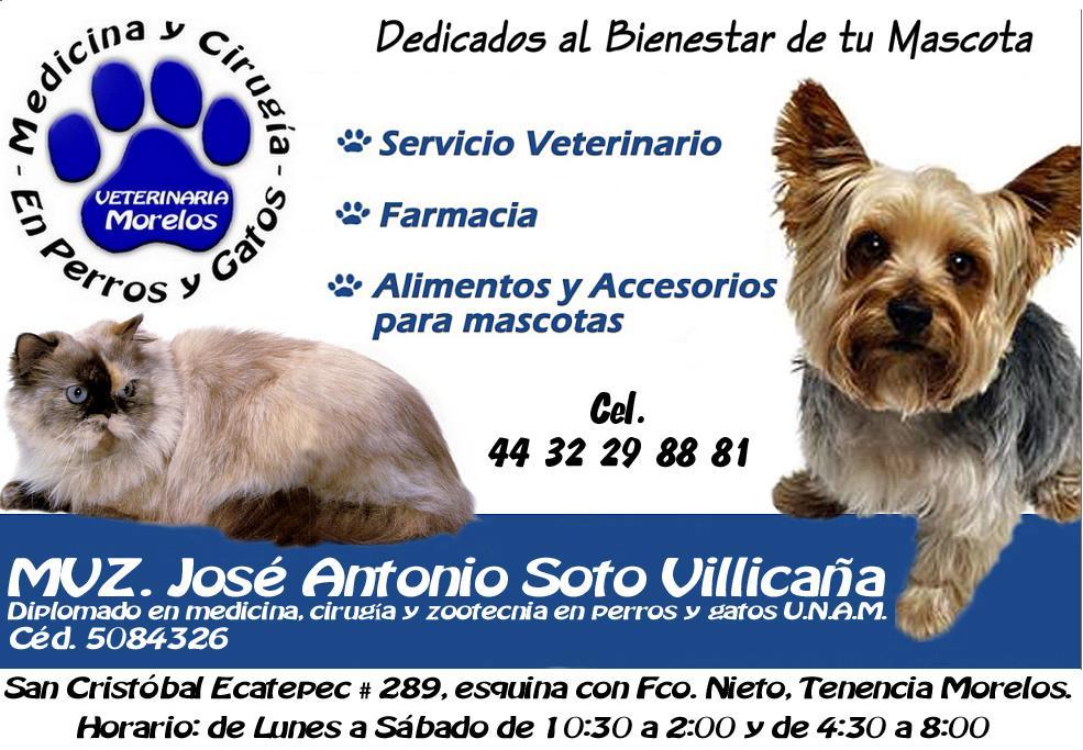 Veterinaria “Morelos” Morelia